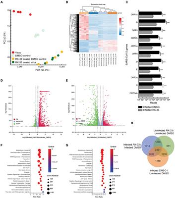 RK-33, a small molecule inhibitor of host RNA helicase DDX3, suppresses multiple variants of SARS-CoV-2